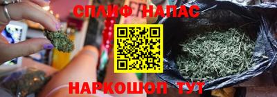 гидра Кинель