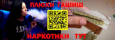 сатива Кимры