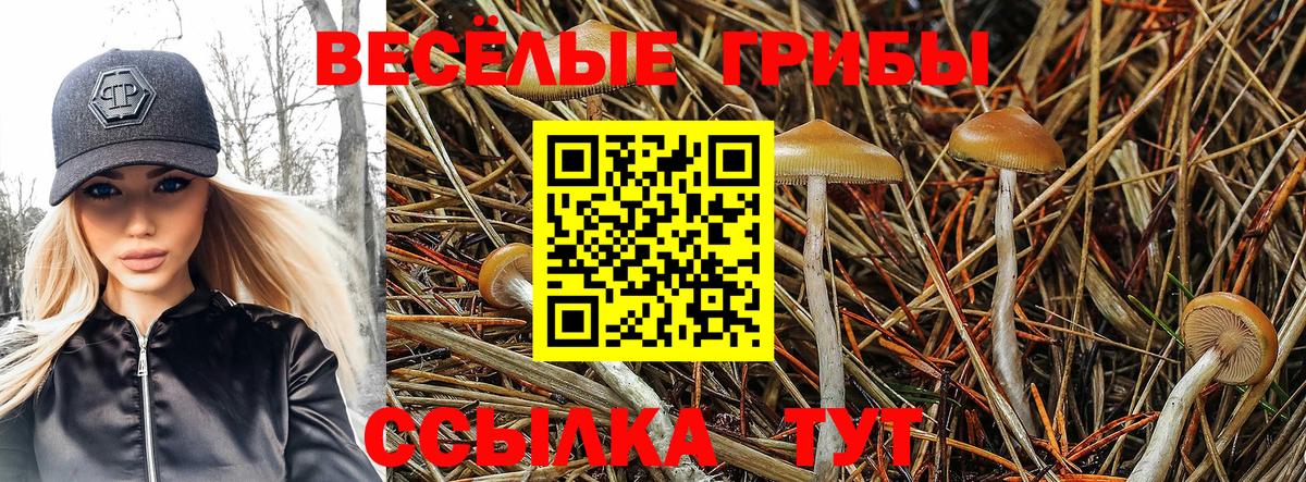 Галлюциногенные грибы мицелий  Вход с VPN  Кашира 